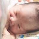 단유통신 이미지