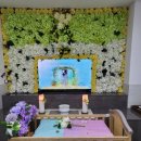 몽몽이애견 이미지