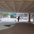 보정초등학교 이미지