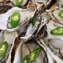 구룡포막회 이미지