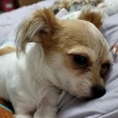 혜인약국 이미지