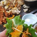 황금오리농장 Daum카페