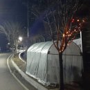 김희용 티스토리