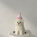 멈무푸드 이미지