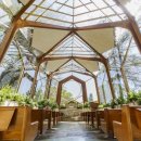 OPTIMAL NATURE 이미지