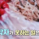 진가 젓갈