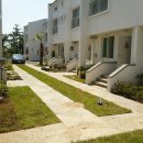 대정읍-6 이미지