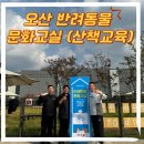 그루밍에이치(Grooming-h) | 오산 테마파크 반려동물 문화교실 1주 차: 반려견 산책 매너 교육 후기