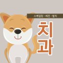 해온동물병원 이미지