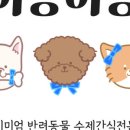 어뇽어뇽 이미지