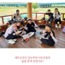 옥룡초등학교 이미지