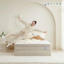 프레셔스 | 프레셔스 매트리스 유로탑 호텔 침대 싱글 후기, 올라인 미디엄하드 매트리스 추천!