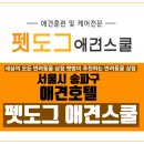 펫도그 애견스쿨 이미지