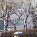 (주)비리프
