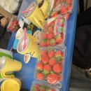 윤수농장 이미지