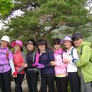 소주나라 이미지