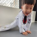경희대올림픽태권도장 네이버블로그