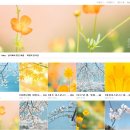 심가네농장 | 블로그 이웃님과의 소통은 사랑이요 행복이다