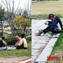 연일근린공원 이미지