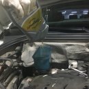 킴 모터스 이미지