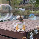 모나코펜션 이미지