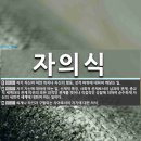 자의식 이미지
