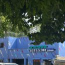 도그앤도그 이미지