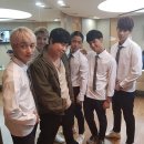 코쿤