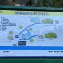 소향민박 이미지