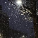 양가네찜닭 네이버블로그
