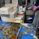 명화네맛집 이미지