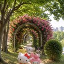 산책가는길 - 수성구 청수로 284 | 🌹 안산호수공원 가는 길, 장미터널 산책 그리고 놀이터 후기 ❤️