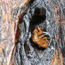 Life is journey 나를 찾아 떠나는 여정 | 변이형상성-상성-섶