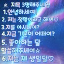 청월 - 진주시 평거로14번길 6 | 청월