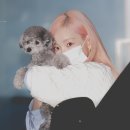 수투디오