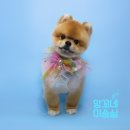 앙꼬네 미용실 이미지