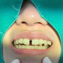 엘치과의원 이미지