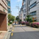 남현동-11 이미지