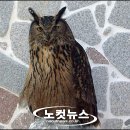 둥지 이미지