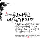 05월01일(수) 부활 제5주간 수요일 이미지