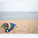 바다정원 이미지