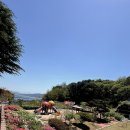 거성초등학교 이미지