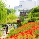 한밭수목원 동원 이미지