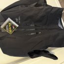 아크테릭스 자켓 팔아요! L, XL 사이즈 Arc'teryx Alpha SV Jacket (Shell) 이미지