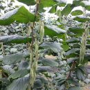 개암농장 이미지