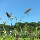 솔바람권역마을 이미지