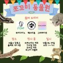 렉사리움
