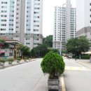 우미지산약국 이미지