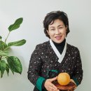 세종향토음식문화연구원