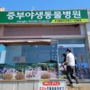 중부동물병원 | 금산동물병원/추부동물병원/중부야생동물병원 후기/과잉진료없는 곳!!내돈내산